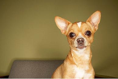 生存城市建设游戏《Oxygen》发售 Steam综合评价“好评”